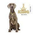 Gold King