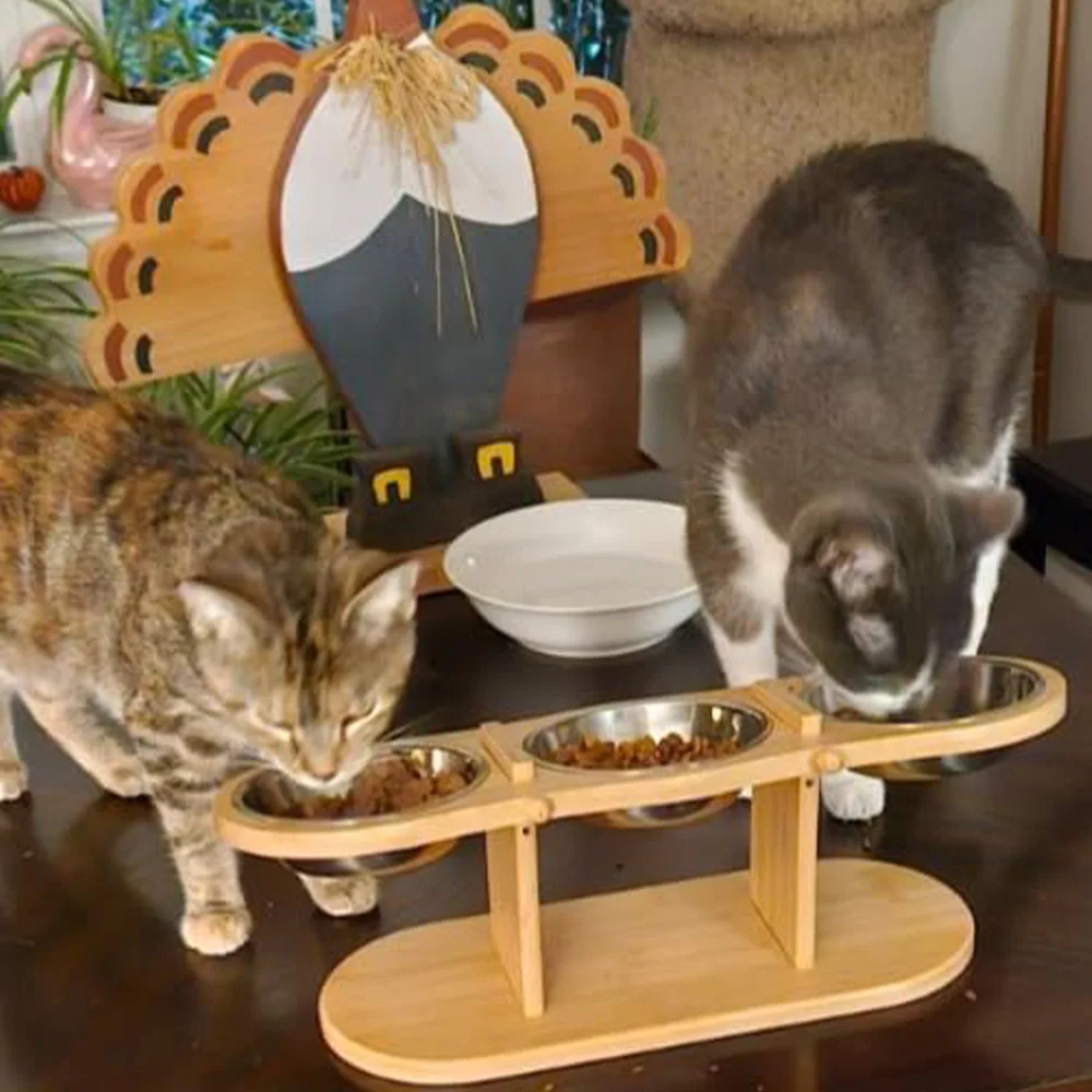 Cuencos elevados para gatos Cuencos elevados para comida para gatos 15 ° Cuencos inclinados para mascotas, para gatos, cachorros, perros pequeños, cuenco elevado para perros, soporte, cuencos para mascotas - imagen 4