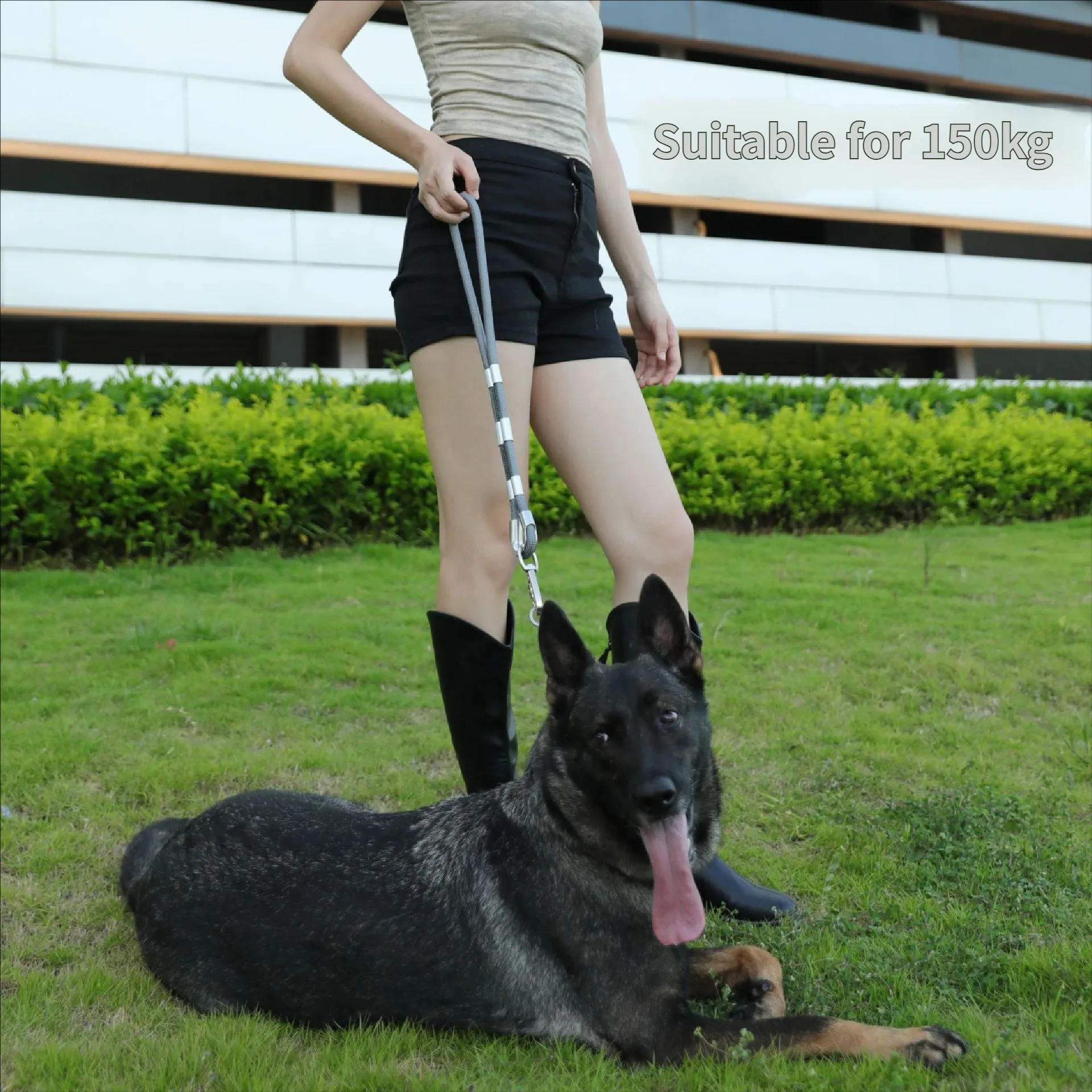 Correa táctica resistente para perros antitirones entrenamiento - imagen 3