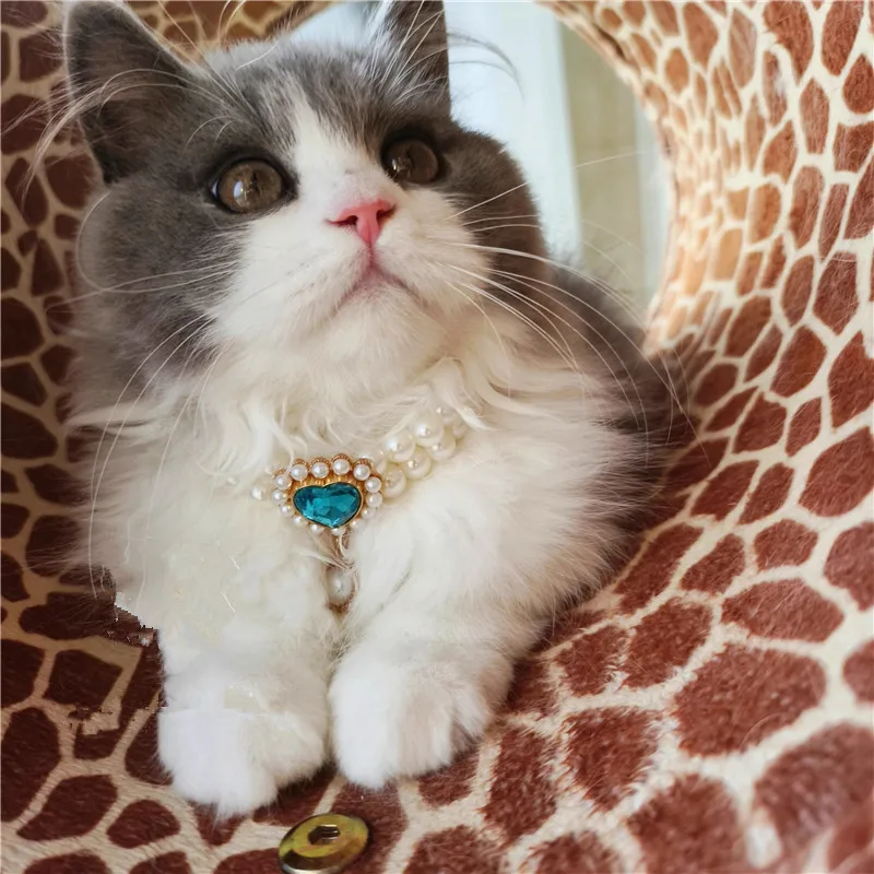 Collar retro de doble capa con diamantes y perlas para gatos y perros - imagen 2