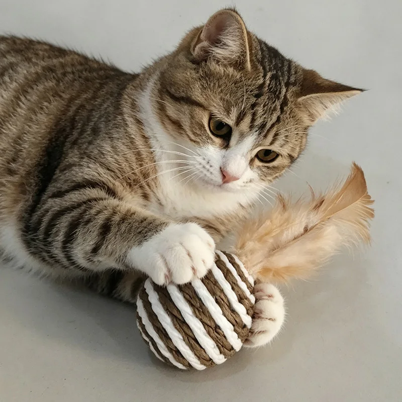 Juguetes interactivos de plumas y sisal para gatos – Sin aburrimiento