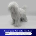 Teddy Hair grey
