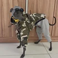 Camouflage Coat