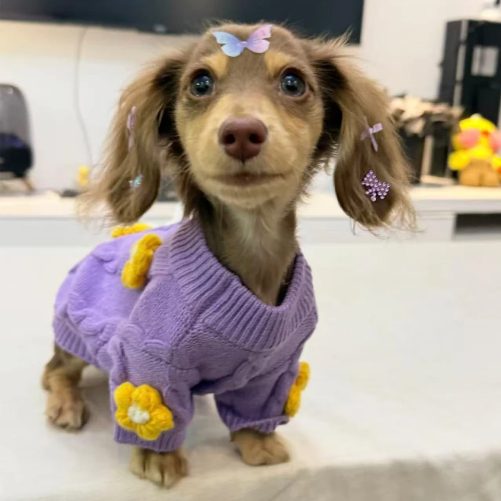 Suéter floral de punto para perro salchicha – Cálido y cómodo