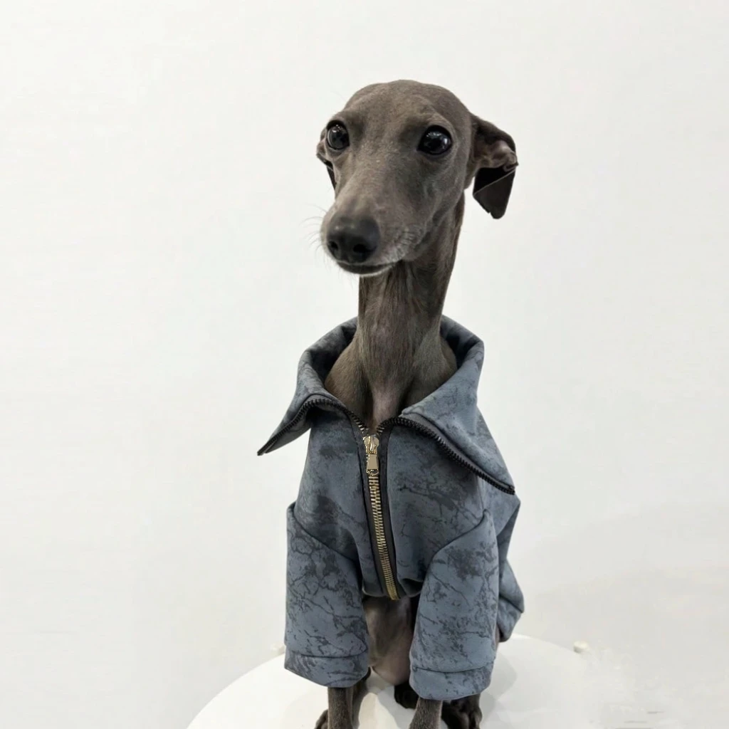 Ropa para perros galgo y whippet - abrigo calido y a prueba de viento - imagen 3