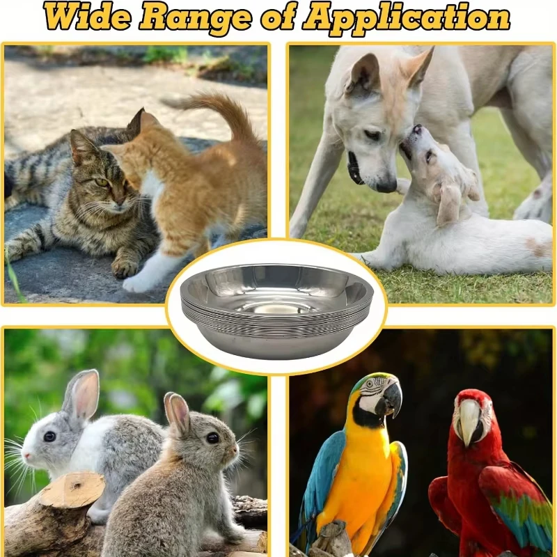 Juego de cuencos para gatos de acero inoxidable antideslizante, diseño amplio de perfil bajo para gatitos y mascotas pequeñas, estación de alimentación con base antimunta - imagen 4