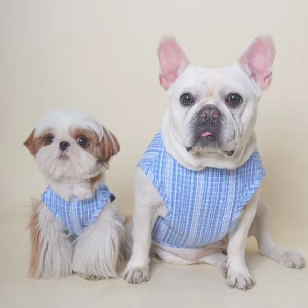 Chaleco con lazo de encaje a cuadros para mascotas, vestido transpirable para perros pequeños, Schnauzer, Teddy, ropa para cachorros pequeños - imagen 3