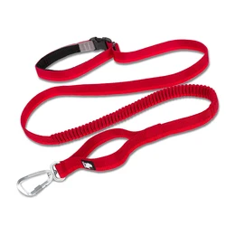 Cinturón de seguridad para coche de perro – correa retráctil