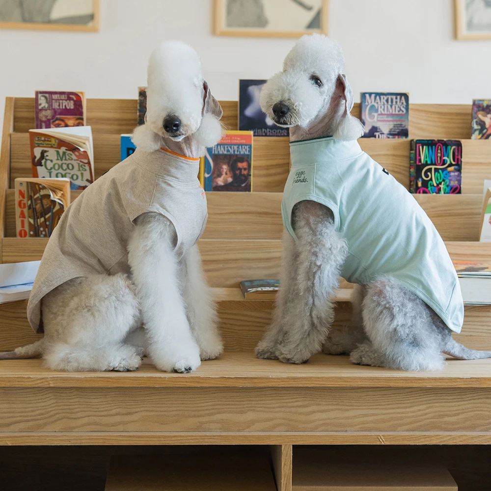 Chaleco antibacteriano para perros Galgo Italiano y Bedlington Terrier - imagen 4