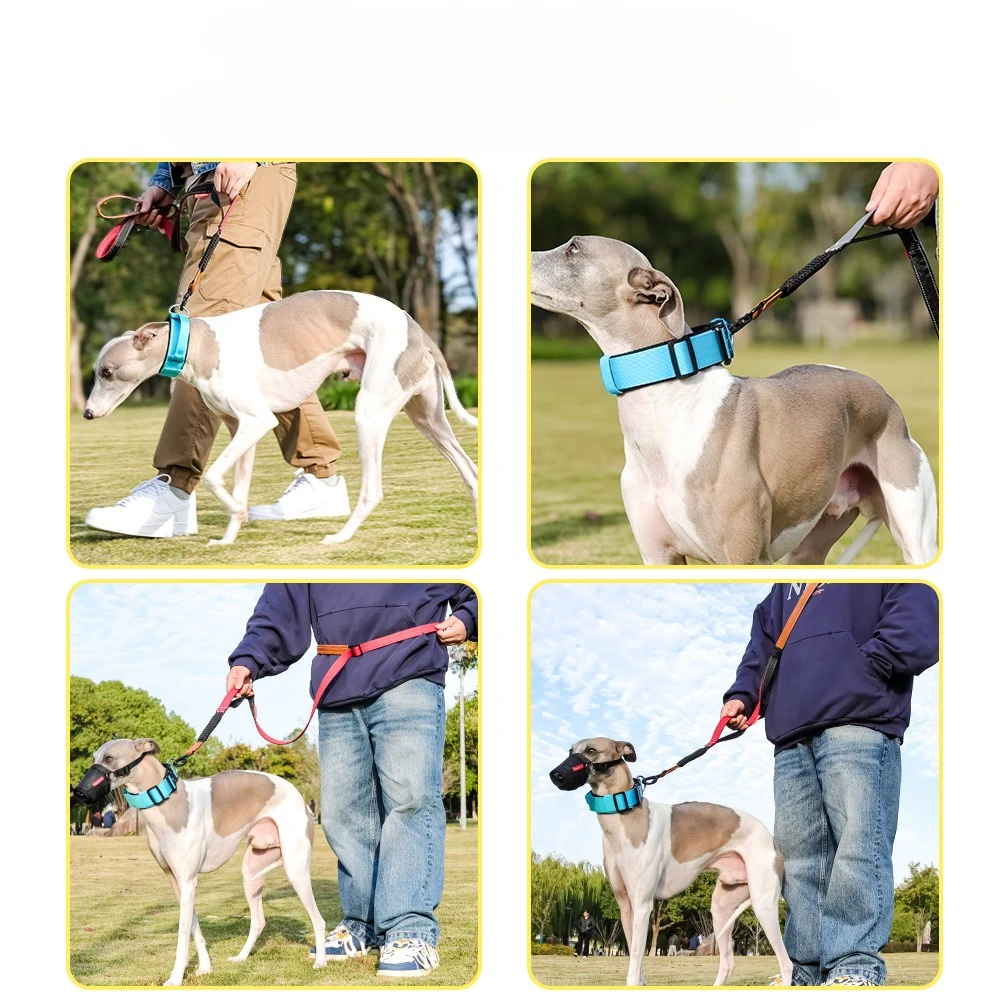 Correa elástica para perros – Absorbe impactos sin tirones - imagen 3