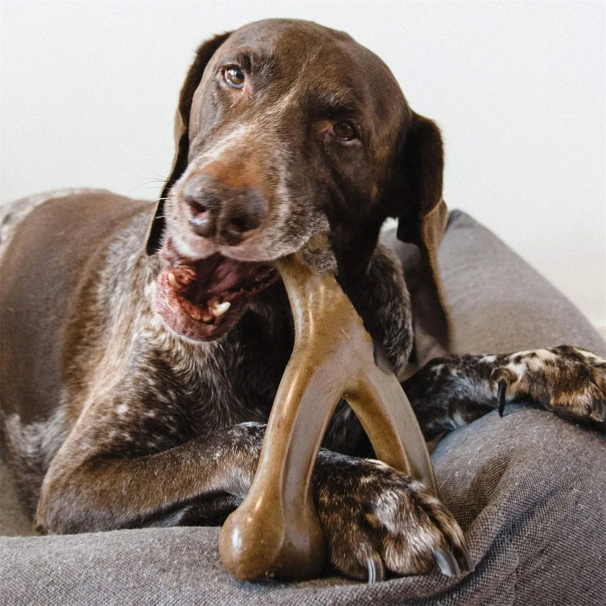 Hueso masticable duradero de nailon para perros medianos y grandes - imagen 3
