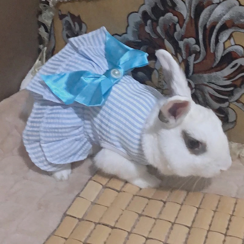 Falda de conejo dulce, vestido de verano para mascotas para animales pequeños, ropa a cuadros a rayas para cachorros, perros, gatos, mascotas, ropa estidos perrita - imagen 3