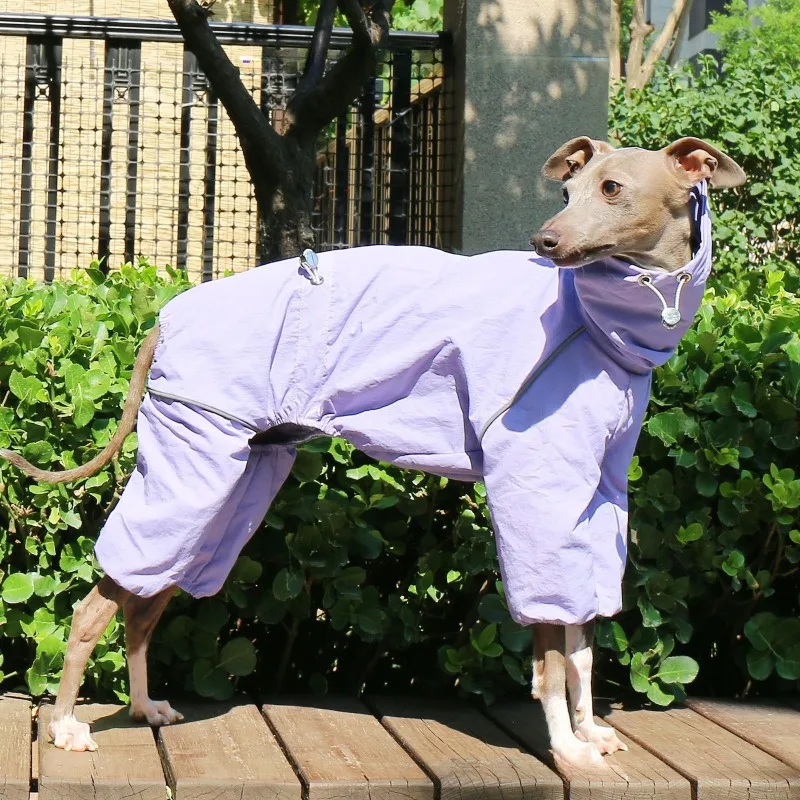 Abrigo impermeable de verano para galgo y whippet – cuello alto