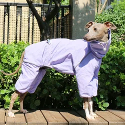 Abrigo impermeable de verano para galgo y whippet – cuello alto