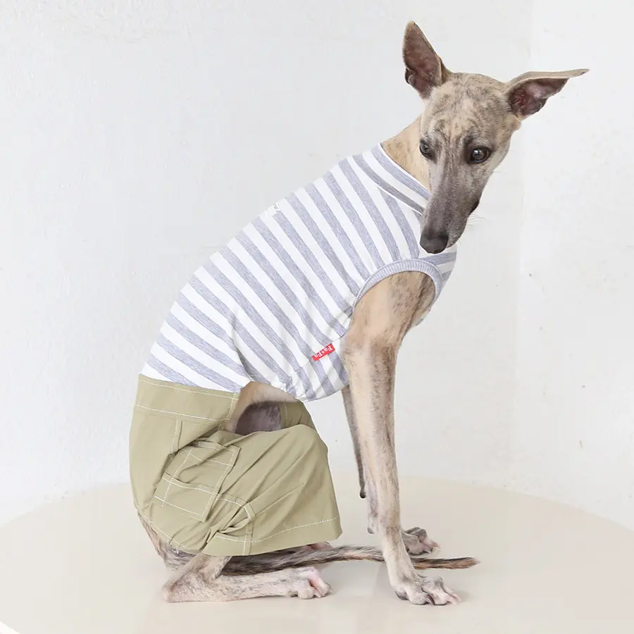 Mono de algodón para galgo italiano y whippet – Ropa para perro - imagen 3