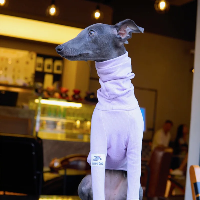 Ropa púrpura de 2 patas de Galgo Italiano, ropa de Whippet elástica suave, pijamas de algodón cálido para perros, otoño e invierno, moda - imagen 4