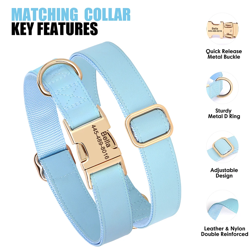 Conjunto collar y correa para perro personalizado con placa grabada - imagen 3