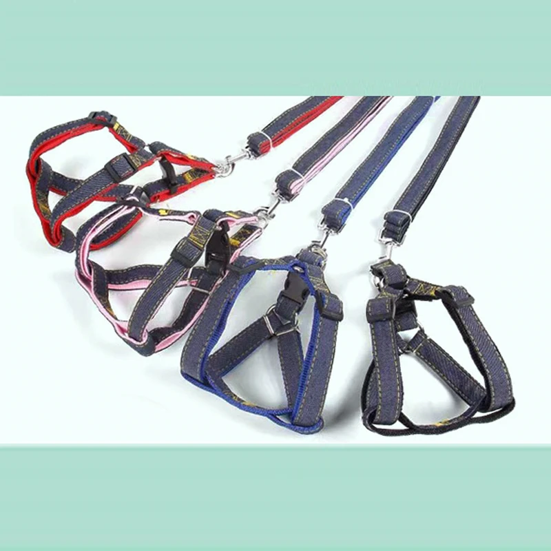 Correa de vaquero para perro, anillo para el cuello, cachorro pequeño, mediano y grande, Teddy, golden retriever, correa para el pecho, correa para caminar para perro - imagen 3