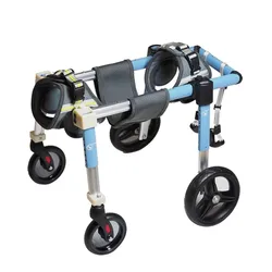 Silla de ruedas para perros: rehabilitación y bienestar diario