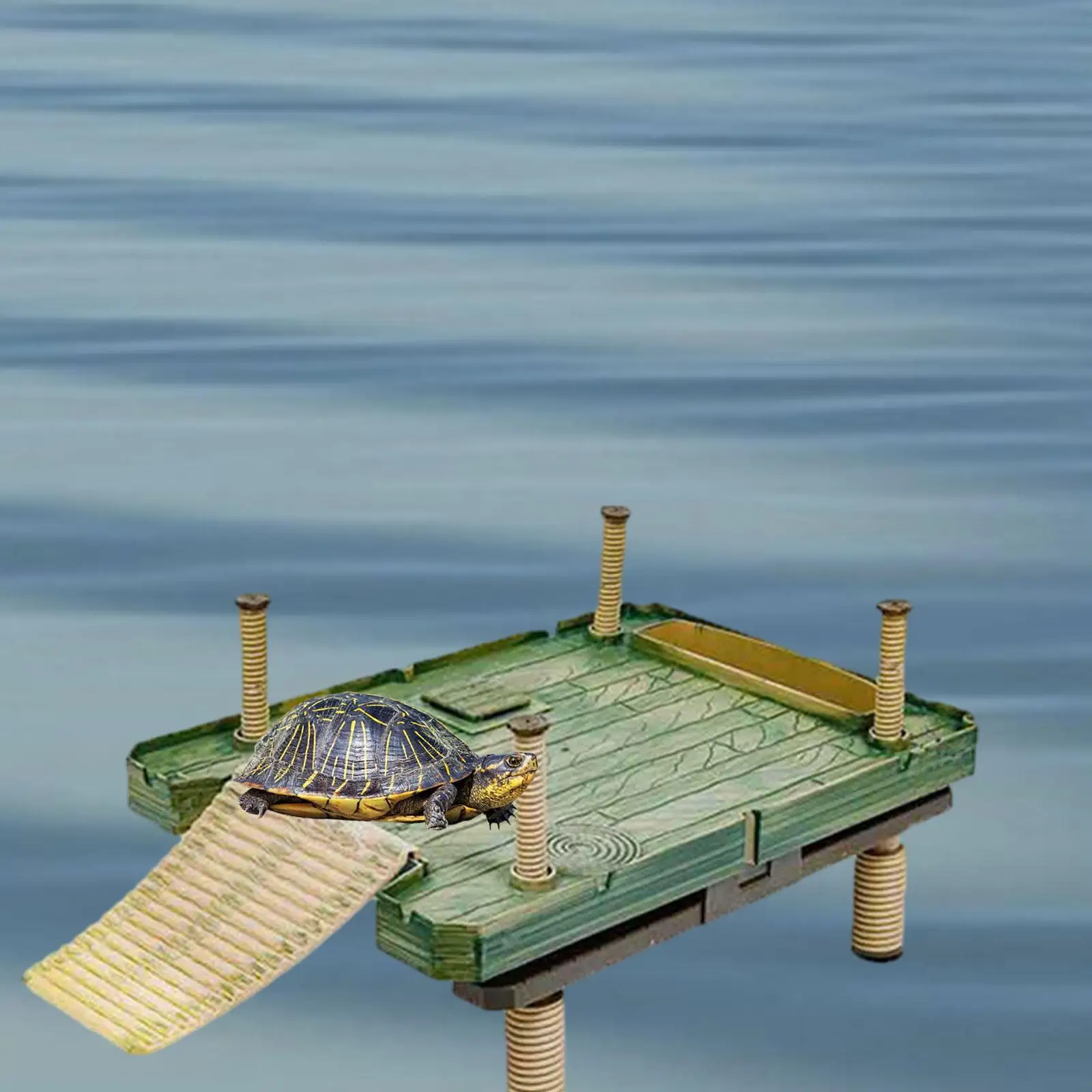Plataforma para tomar el sol de tortuga con rampa de escalada, isla flotante para tortuga, tanque de tortuga, plataforma de secado flotante para acuario, plataforma tumbada - imagen 2