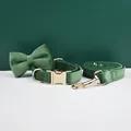 Bow Collar Leash39