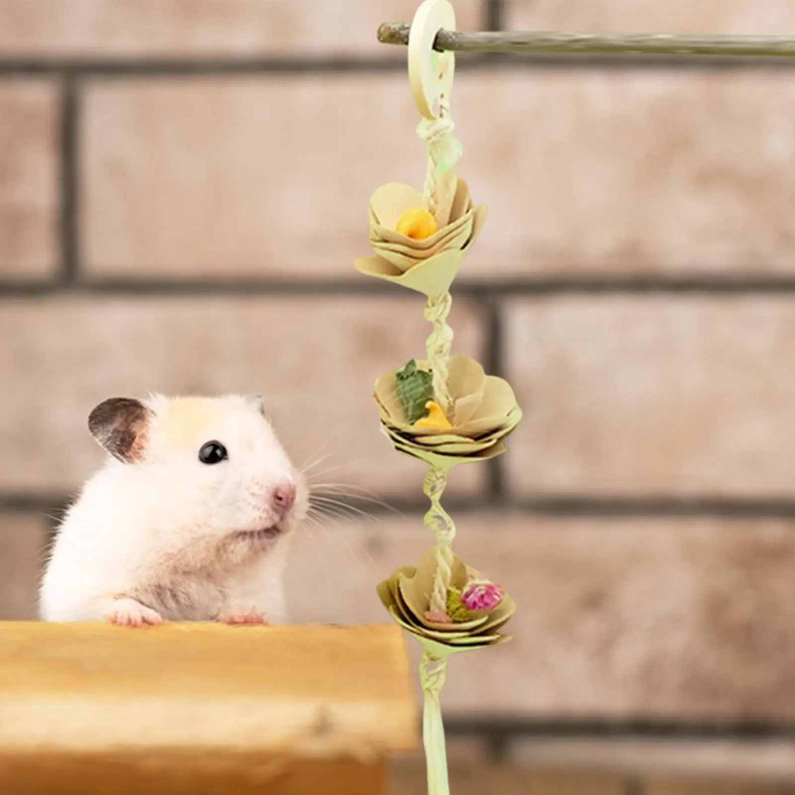 Juguete de alimentación de conejillo de indias, juguetes de forrajeo, enriquecimiento con ganchos, práctico dispensador de golosinas, golosinas colgantes para conejillos de indias y ratas