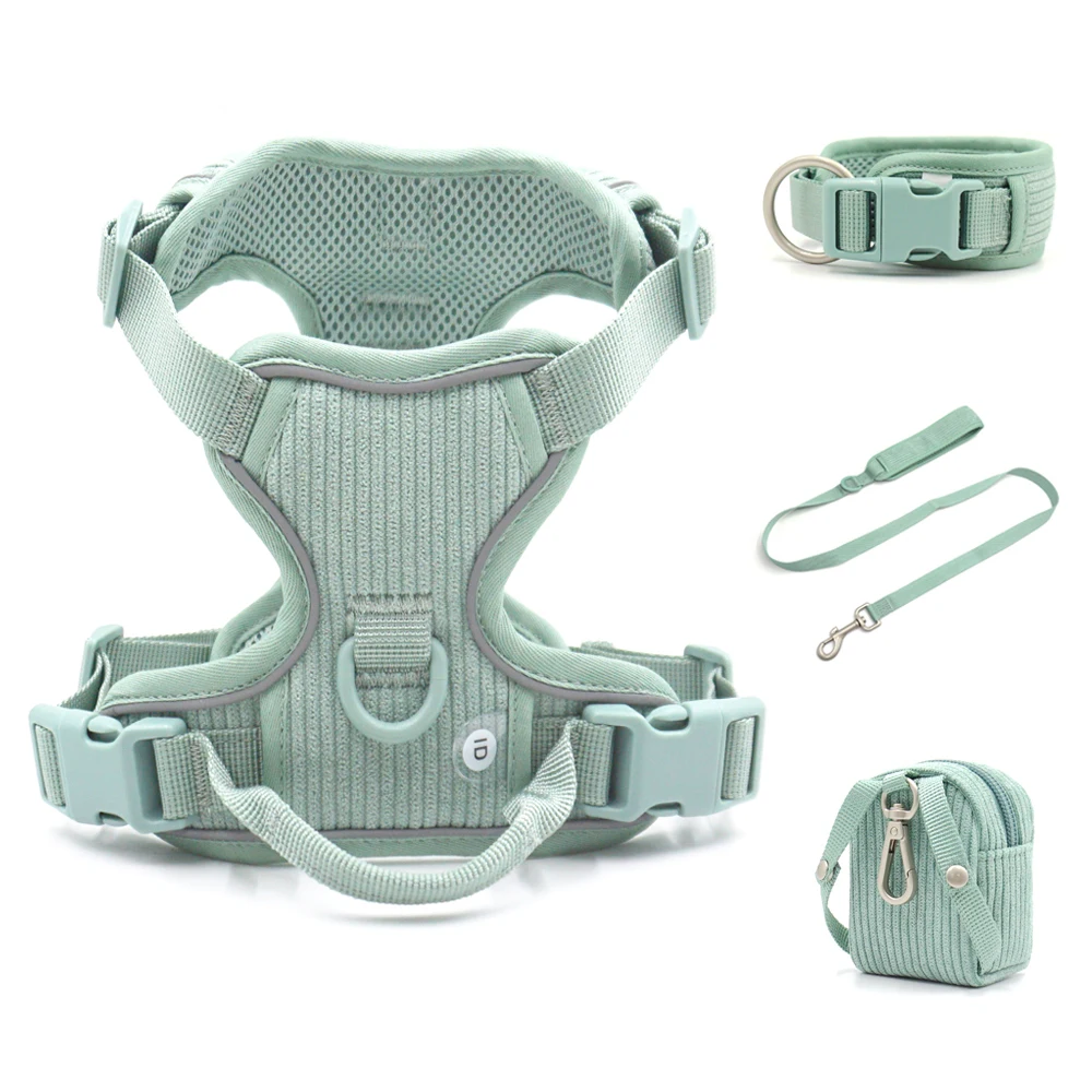 Collar de perro personalizado, arnés para perro grabado personalizado, Collar y correa de diseñador de pana ligera, conjunto acolchado totalmente ajustable - imagen 4