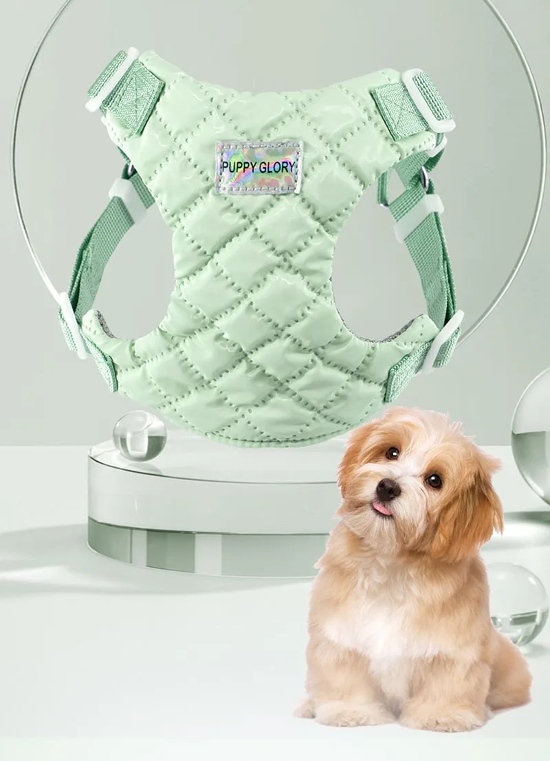 Sistema de cierre del arnés para perros