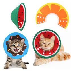 Collar isabelino suave para gatos – Evita que lame sus heridas