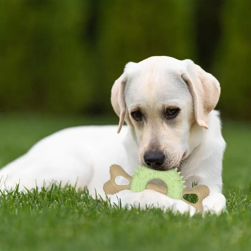 Cepillo de dientes Molar para cachorros de hueso, juguete para masticar para perros, juguetes para perros resistentes, juguetes para masticar para la dentición, cepillo de dientes para masticar perros, palo de dientes para agresivo - imagen 3