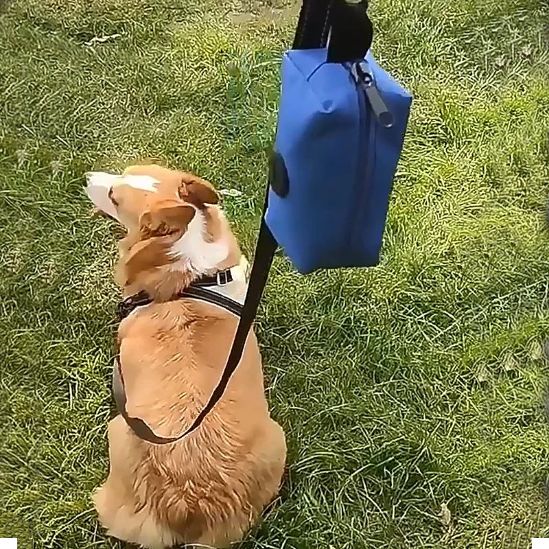 Soporte portátil para bolsa de excrementos de perros, dispensador de residuos con clip con mosquetón, accesorio de correa, limpieza de mascotas al aire libre y suministros de viaje