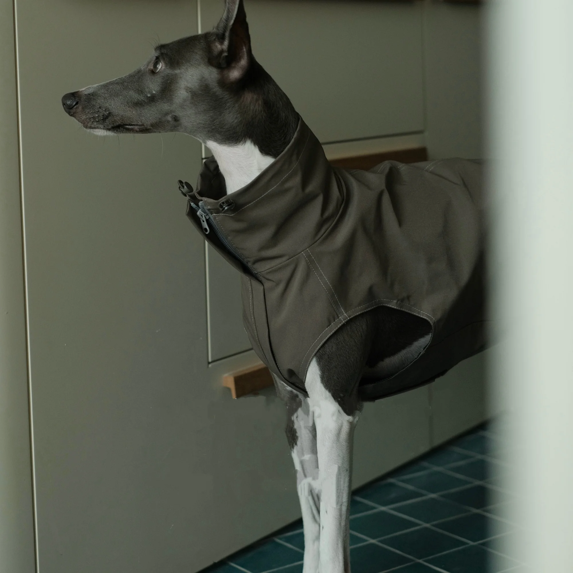 Chaqueta polar resistente a los arañazos a prueba de viento para perros en primavera abrigo de otoño impermeable marrón para chaleco de galgo italiano para Whippet