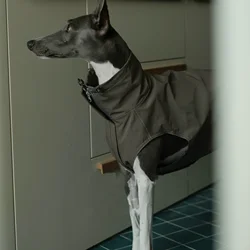 Abrigo impermeable para perros galgo italiano y whippet