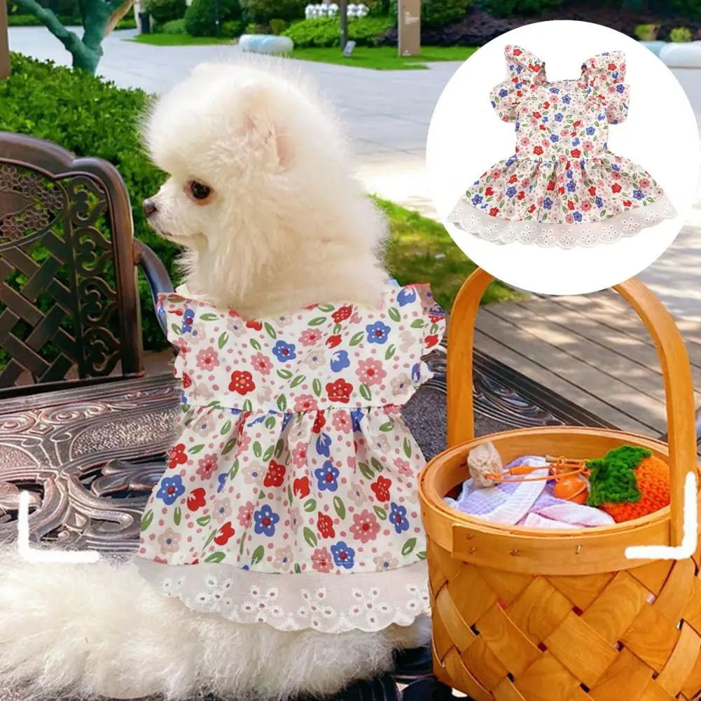 Vestido de encaje con dobladillo para perro, ropa para mascota, sin Pilling - imagen 5