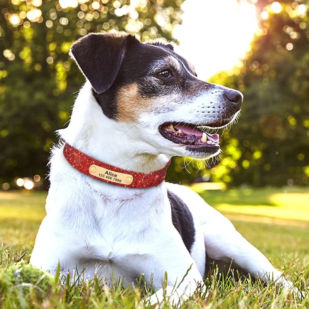Collar de perro antipérdida con purpurina, Collar de identificación ajustable para mascotas, perros pequeños, medianos y grandes, Chihuahua y Pug - imagen 5