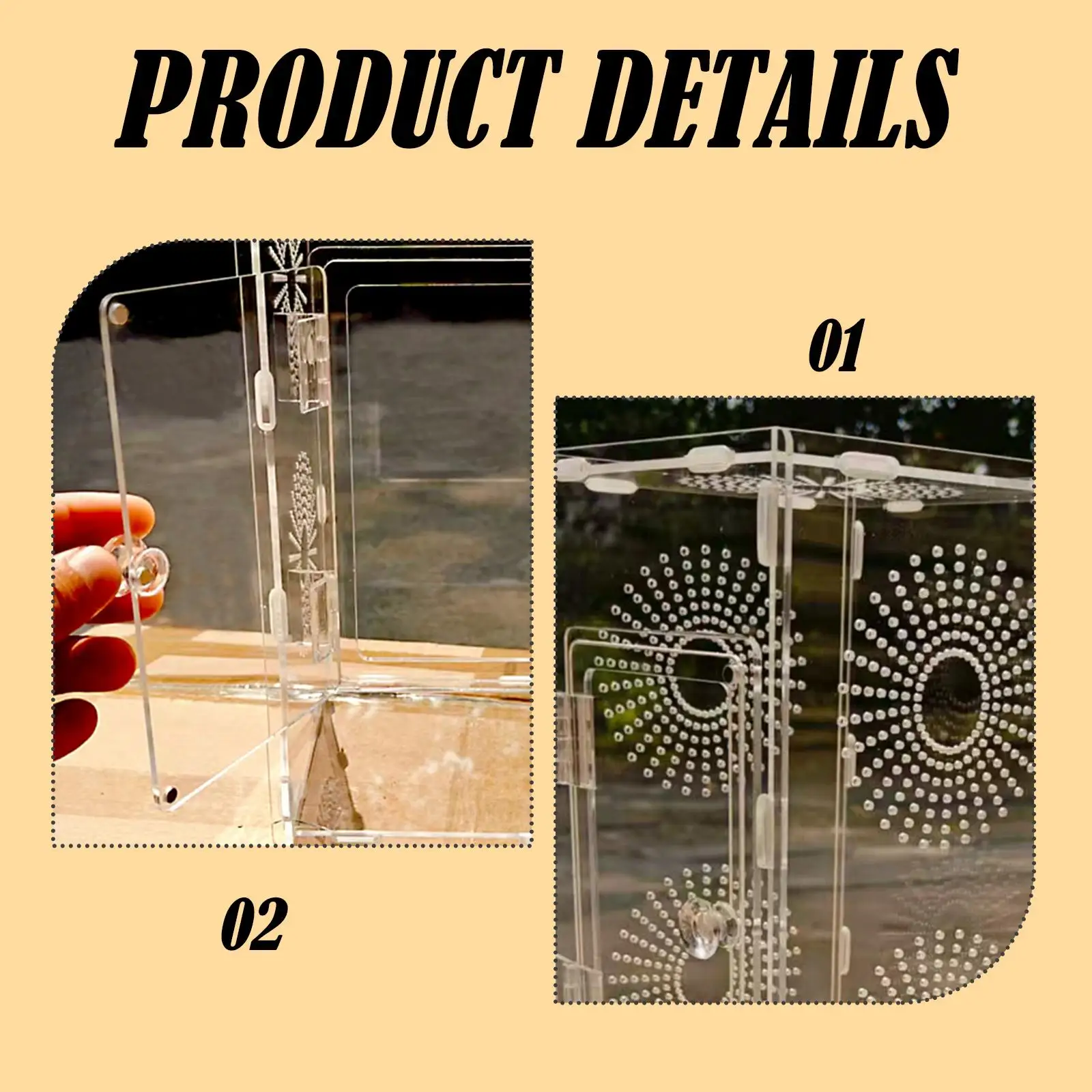 DIY Assembly Acrylic Small Reptile Terrarium Quick Installation Breeding Box