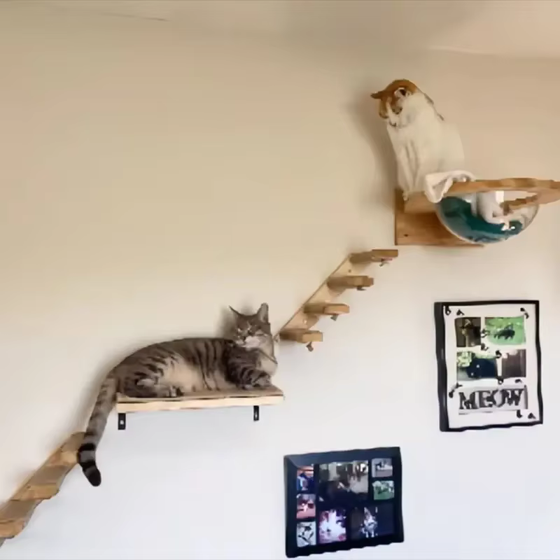Estantería pared gatos madera maciza con rascador sisal y cápsula - imagen 4