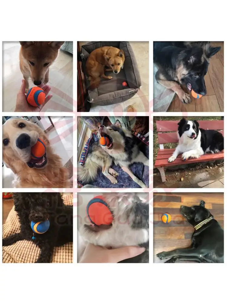 Pelota de goma para perro, juguete de resistencia a las mordeduras, divertido, Bulldog Francés, Pug, productos de entrenamiento - imagen 4