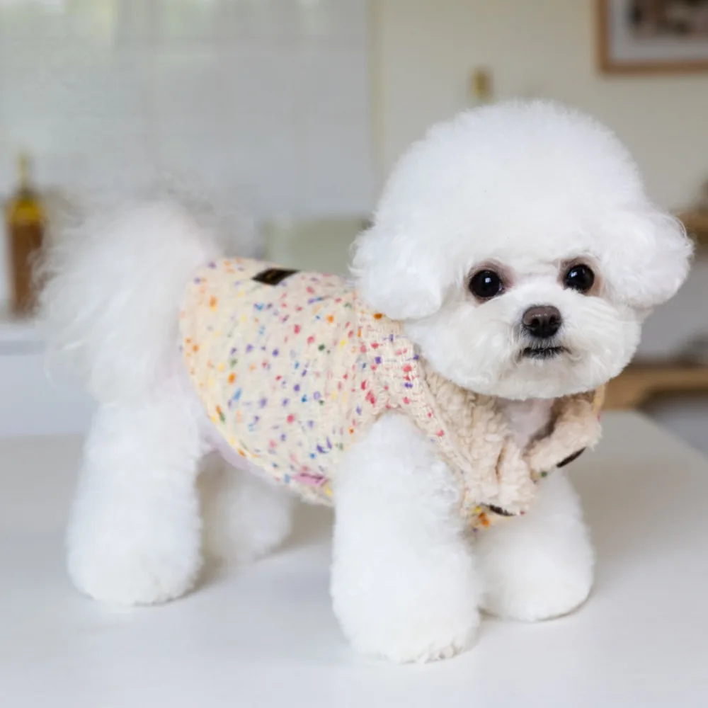 Chaleco de felpa de doble cara para mascotas, chaqueta con capucha para perros y gatos, oso de peluche para cachorros, ropa para perros pequeños, Otoño e Invierno