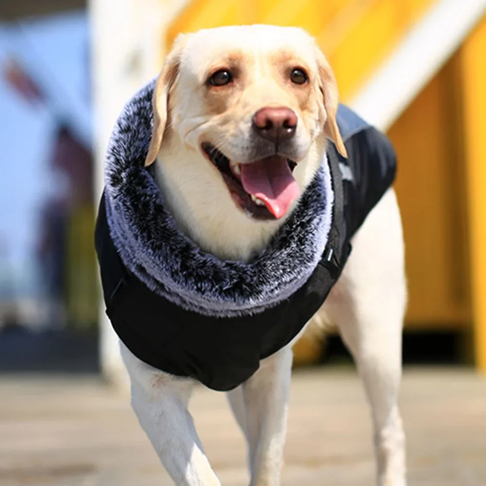 XL-6XL ropa cálida de invierno para perros grandes con Cuello de piel abrigo grueso para mascotas chaqueta para perros medianos y grandes ropa Labrador Border Collie - imagen 4