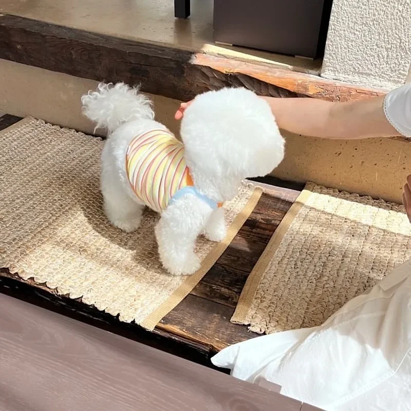Chaleco corto para mascotas con tirantes, chaleco fino de peluche para verano, ropa para perros a rayas naranjas, camiseta transpirable Bichon Frise, ropa para mascotas - imagen 5
