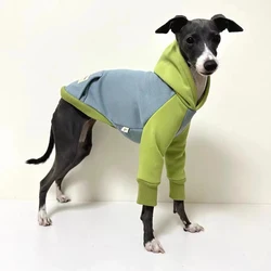 Sudadera con capucha gruesa para Whippet – Ropa invierno perros grandes
