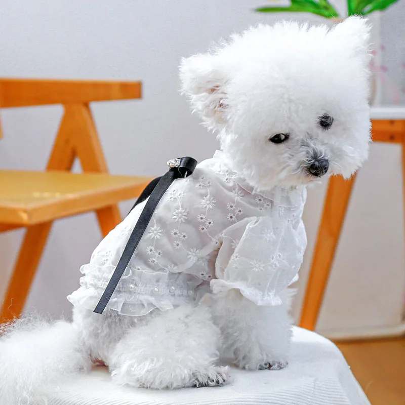 Ropa para perros dulces, sudadera blanca, camiseta para perros pequeños, perro salchicha, Chihuahua, manga de burbuja, lazos de cinta, sudaderas con capucha, camisa para mascota XS - imagen 2