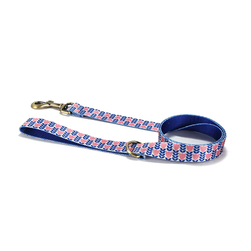 Correa para perro, Collar para perro, correas de plomo para perro, antisuciedad, fácil de limpiar para perros grandes y pequeños, Collar para cachorro, productos para mascotas PDL353 - imagen 2