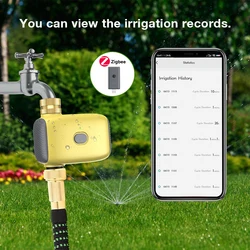Temporizador inteligente Zigbee automático para riego goteo exterior