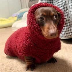Abrigo rojo de cuello alto para perros dachshund - Chaqueta cálida