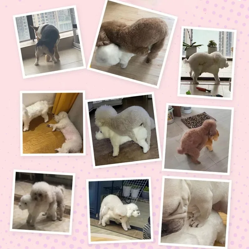 Juguetes sexuales de silicona suave para cachorros, juguetes sensoriales de felpa de razas pequeñas, suministros para mascotas, accesorios para perros, ayudas y comportamiento - imagen 2