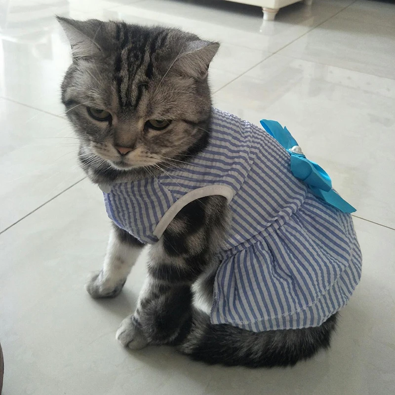 Vestido de princesa para cachorros y gatos, ropa de verano para mascotas, vestidos a cuadros a rayas con lazo para gatos, gatitos, conejos, ropa Sphynx - imagen 4