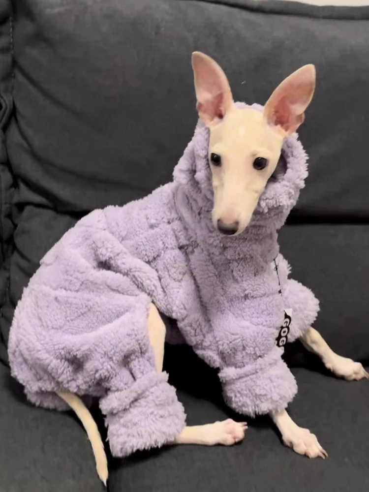 Suéter morado de 4 patas de felpa larga a la moda para galgo, abrigo grueso y cálido de manga larga con cuello alto para caniques, ropa de descanso Whippet - imagen 4