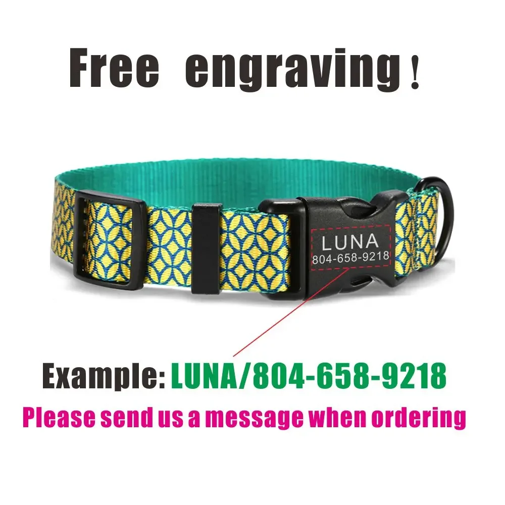 Collar de perro personalizado, correas a juego, nombre de identificación personalizado, hebilla de contactos, monedas ajustables, collares para perros y mascotas - imagen 4